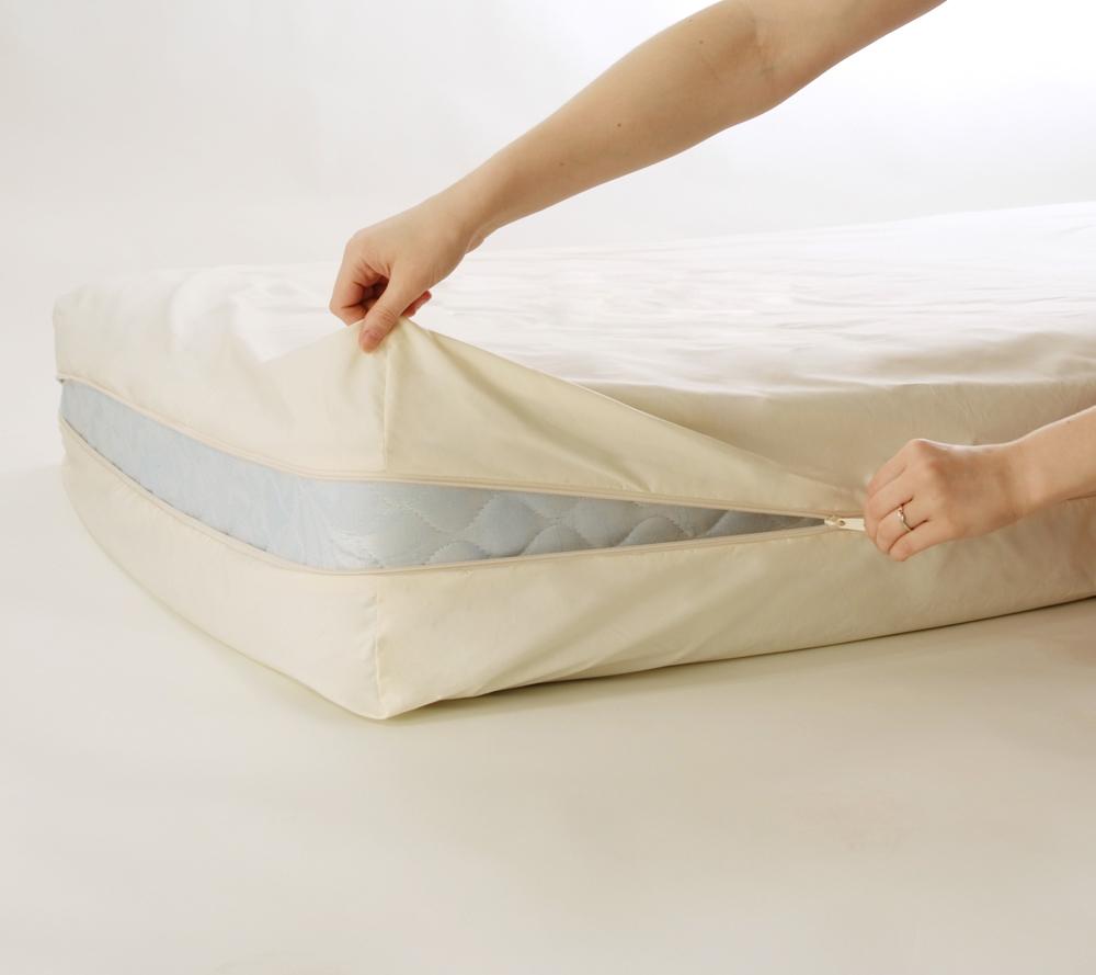 Use Bed Bug Mattress Covers To Get Rid Of Bugs Economically | Allergy ...